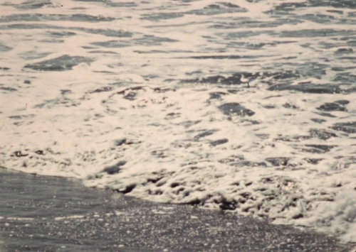 365filmsbyauroranocte:  Void (4. Inability) (Nazli Dinçel, 2016)