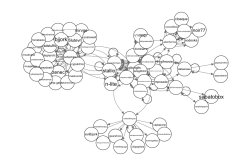 reallyreallygone:  doing some data analysis on the glitchart community this is the result of pulling 40 posts from glitchgifs, then looking at the sources of the posts, and then pulling 40 posts from all original source blogs, and then plotting those