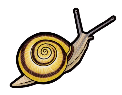 Brown-lipped Snail (Cepaea nemoralis)This snail is originally native to Europe, but it can now be fo