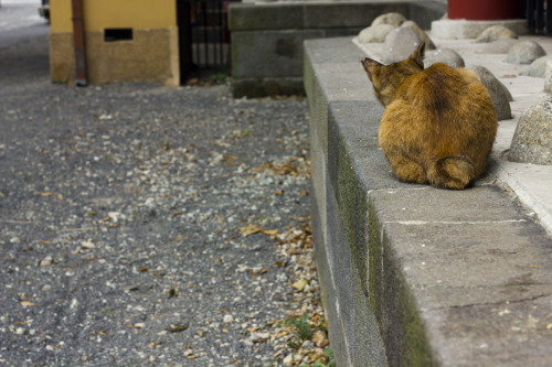 Ueno Park 2014