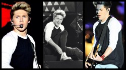 paynoisperfection:  Niall Horan: Where We Are Tour - South America