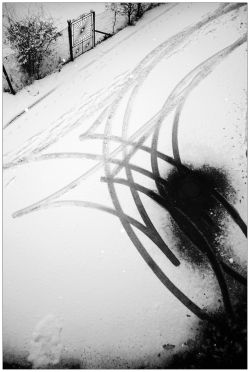 laurabfernandez:  yama-bato:  For Laura’s project, “A Trip Through My Eyes” “Calligraphy” By yama-bato ©yama-bato,2013 Thank you Laura!:)))  “A trip through my eyes”19  My dearest,you just amaze me more and more every time you post your