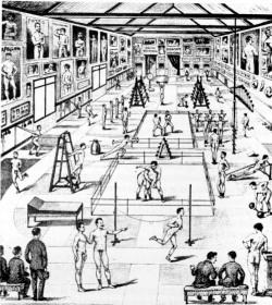 artfreyparis:    French gym.1885  