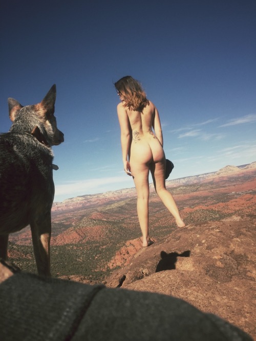 wander-womann:  wander-womann:  My dog can’t stand not being in the spot light.  This is probably my most successful photo ever. 