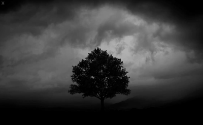 htp-gifworld:  Project Pitchfork - Rain 