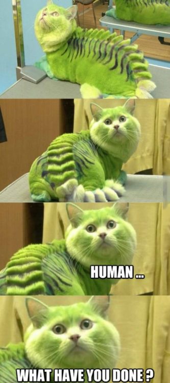 Heh.
