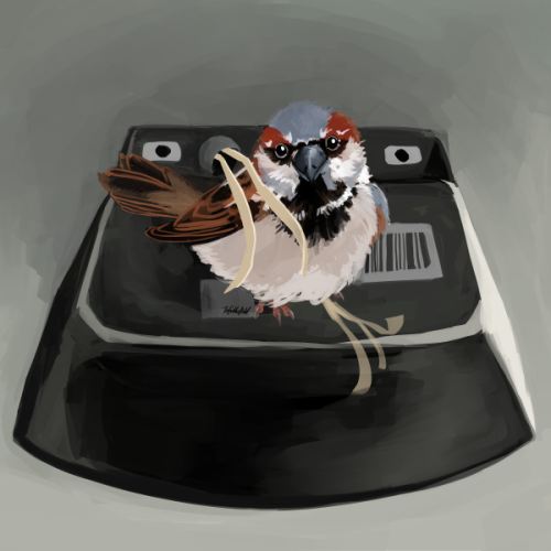 tofuthebold: house sparrow commissioned by @scifikimmi!