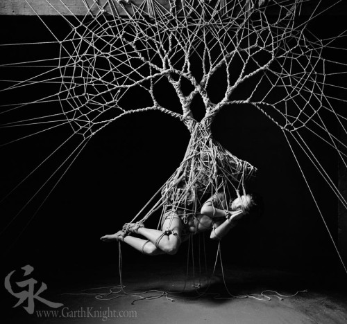 garthknight: The Heart Tree “The Heart Tree shows us that Everything is Love.” - Garth K