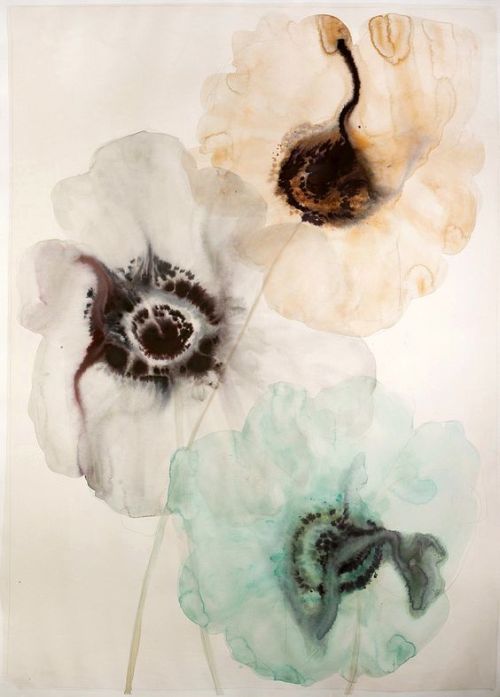 pearl-nautilus:Lourdes Sanchez - Anemones, 2014