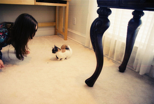 w4lrusss:  by nobutyes on Flickr. 