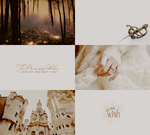 jediknightrey: AESTHETIC MEME: [6/8] Stories (tv shows, movies, books…): t h e  P r i n 