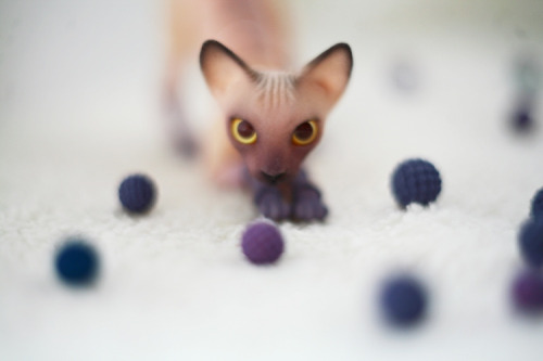 comradewodka:  chariteatime:  mermeanie:  these bjd kitties by Oleum are fuckin’ ridikkulus! photos by Oso_Polar EDIT: the artist has ordering info on her LJ here:  http://oleum-13.livejournal.com/120104.html  Holy crap.  usually bjds super creep me