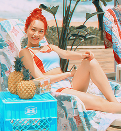 starksfavoritegirl