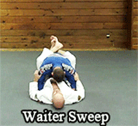 Porn kungfumasters:All kinds of Sweep for you. photos