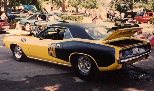 jacdurac:  ‘cuda