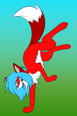 redsolarfox:Random one paw stand/flip…Thing… Because boredom :3x3