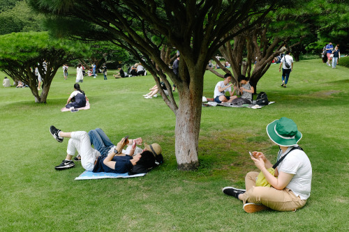 shinjuku gyoen