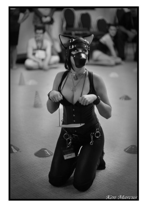 Porn photo ekhokumori:  At DomCon LA’s Pet Show in