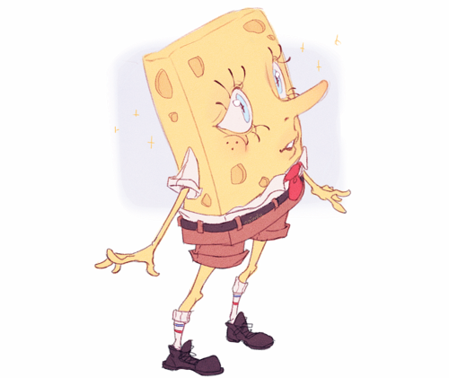 sponge