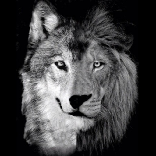 Spiritofawolfheartofalion-Deact: