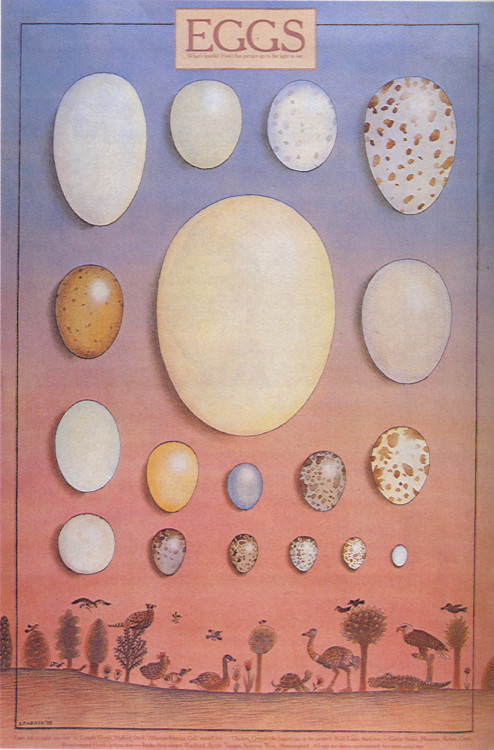 vuls:EggsCarol Carson, 1982