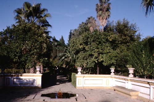 Dos puntos de vista, Jardín del Alcázar, Sevilla, 1977.