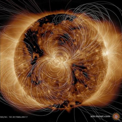 Sun’s Magnetic Field Portrayed : NASA’s Solar Dynamics Observatory (SDO) scientists used