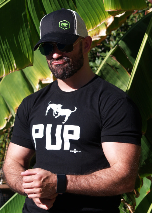 ajaxx63:  Pup Athletic Fit AS84 available from http://www.ajaxx63.com