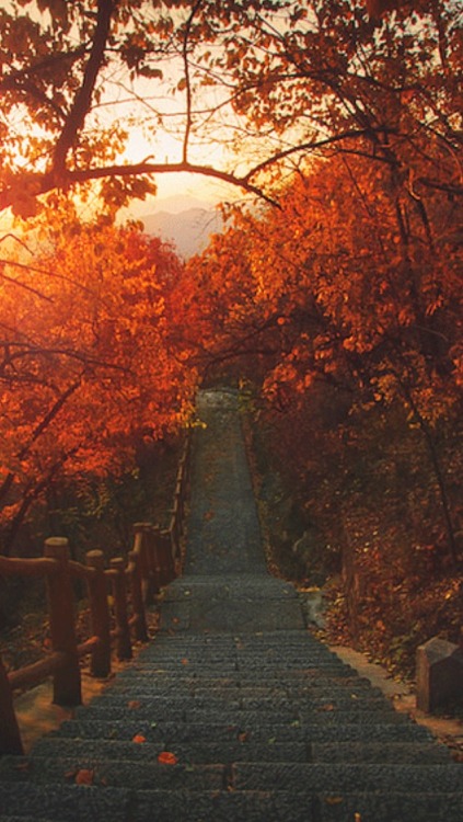 wishfullyautumn: Endless Autumn Coziness