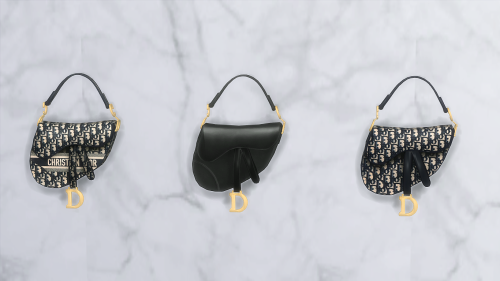 platinumluxesims: DIOR SADDLE BAG VOL.1 - Brand new & Original mesh by me- Wall Deco Object - 3 