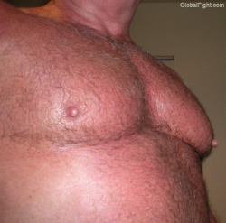 wrestlerswrestlingphotos:  big massive gay pec hard nips