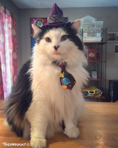 theoreocat: I don’t “DO” fashion. I AM fashion.