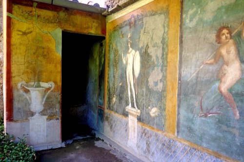 Wall painting in the House of Venus, Pompeii.