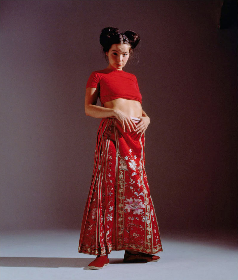 warmthestcord:  Björk by Kate Garner 