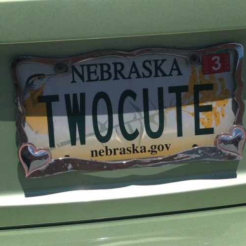 80slesbian: license plate moodboard