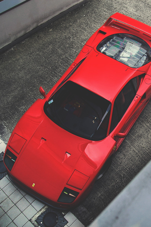 themanliness:      Queen Goes To Sleep by   Kencovado Photographie | Facebook | Instagram   