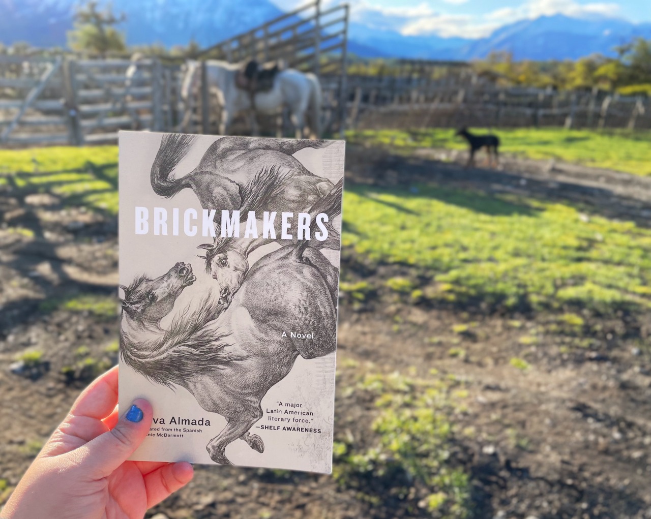 Selva Almada doesn’t miss. In Brickmakers, translated by Annie McDermott, she writes about two rival families who hold a deep-seated grudge against each other: the book begins with Pájaro and Marciano, two sons of the two fathers, both lying in the...