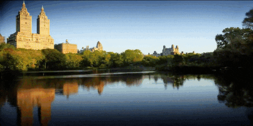 Time Lapsed Leaves Changing Colours Central Park