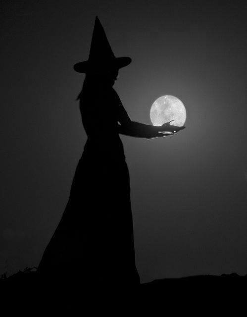 Beautiful Dreamer