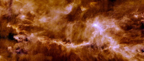 Stars forming in the Taurus Molecular Cloud js