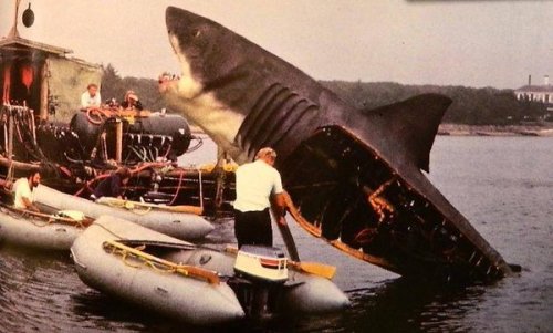 yodaprod: Tournage “Les Dents de la mer”, Steven Spielberg (1975)On the set of &ldq