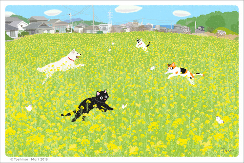猫好きのイラストレーター「もりとしのり」が描く〜四季を旅する猫〜「たびねこ」シリーズ『菜の花ダンス』です。ふるさと香川県の詫間町にある菜の花畑で長を追って遊ぶ猫たち+知り合いの犬ランディと猫シロを描き