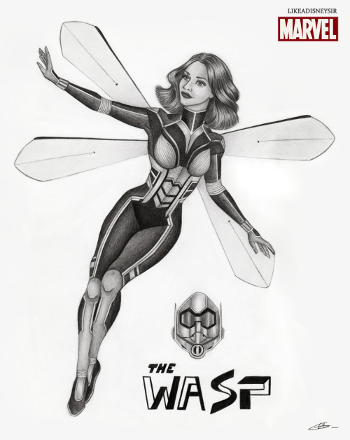 Graphite drawing of Evangeline Lilly’s Hope Van Dyne as The Wasp:DCan’t wait to see more of her in n