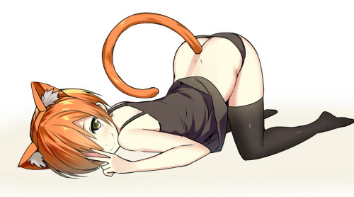 hentaiharry:  porn anime hentai ecchi oppai