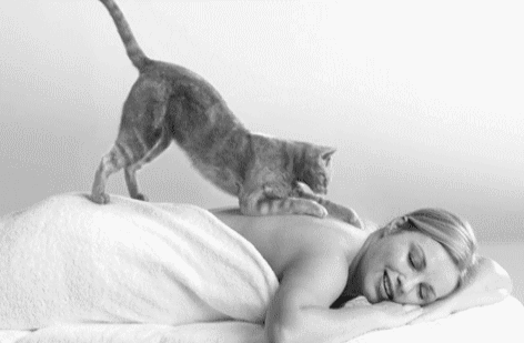 funny-gif-1:  ☆ ☆ Actual FUNNY Gif Blog ☆ ☆