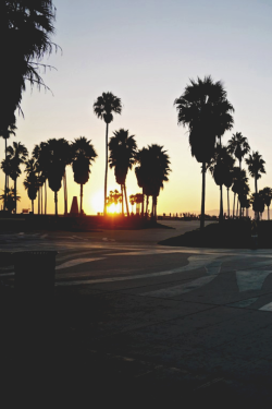 kcrdnk: exitvisuals:   Venice Beach | © | Instagram   @kcrdnk @kcrdnk @kcrdnk 