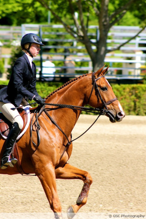 USEF/Pessoa Medal @ OSF &lsquo;AA&rsquo; (05/17/13). © GSC Photography