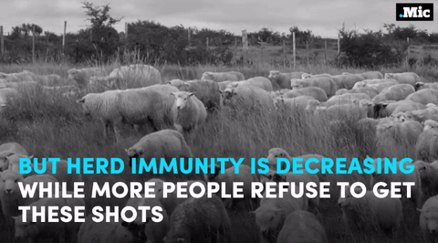 sourcedumal: jackburtonsays:  homoglobinopathy:  the-future-now:  this is why we