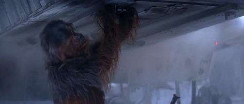 Sex notkatniss:  im scremaing even chewie is pictures