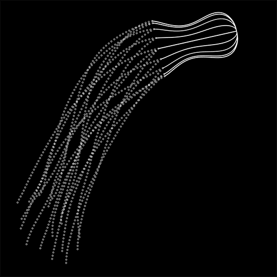 dvdp:190722JellyTrip